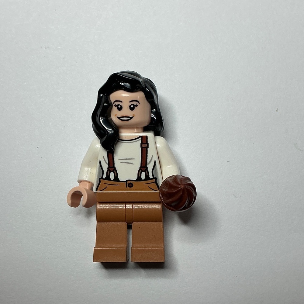 Lego Mini Figure Ideas TV Series Friends Monica Geller